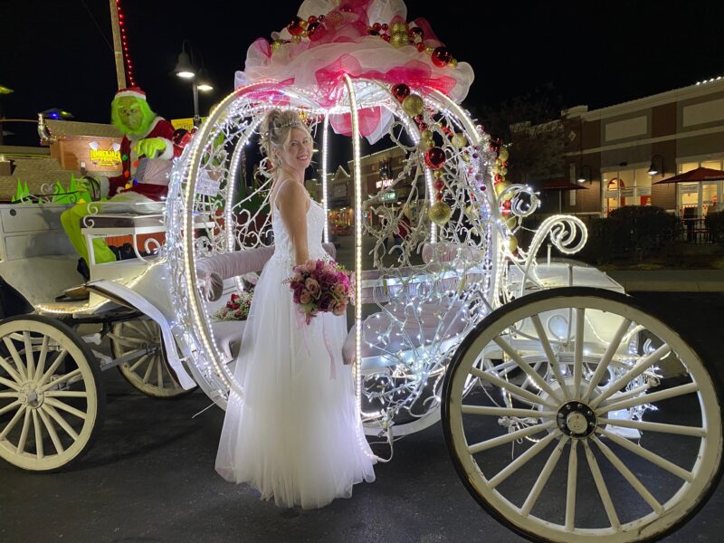 Carriage Rd Carriage Rides Gallery - Heritage Carriage Rides